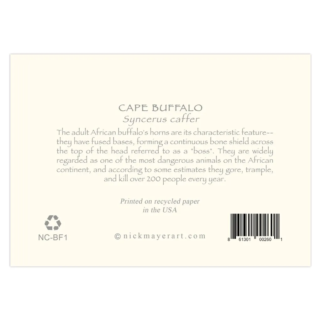 Cape Buffalo I Notecards