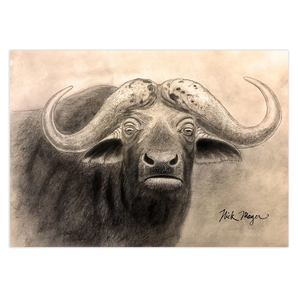 Cape Buffalo I Notecards