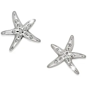 Cape Star Mini Post Earrings