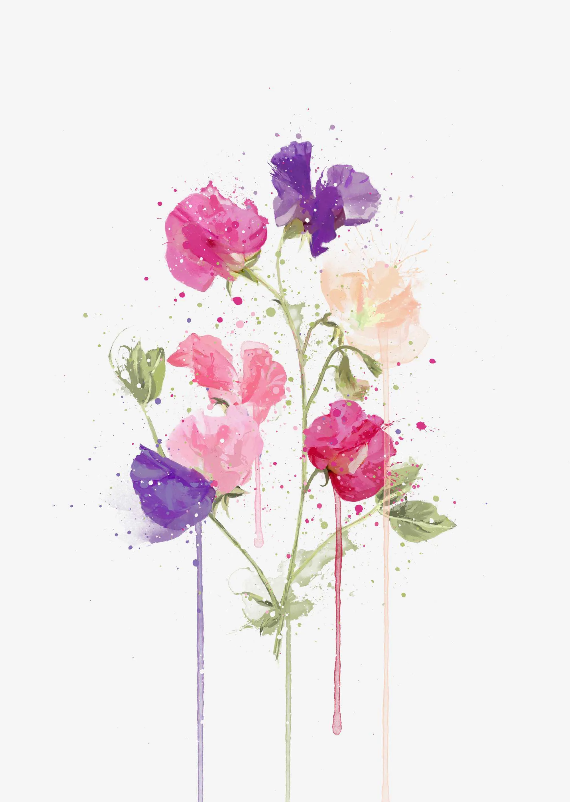 Flower Wall Art Print 'Sweet Pea'