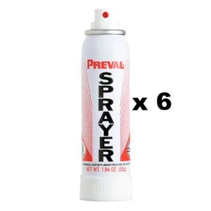 Preval Replacement Compressor Power Unit Paint Spray Sprayer Gun 55g x 6