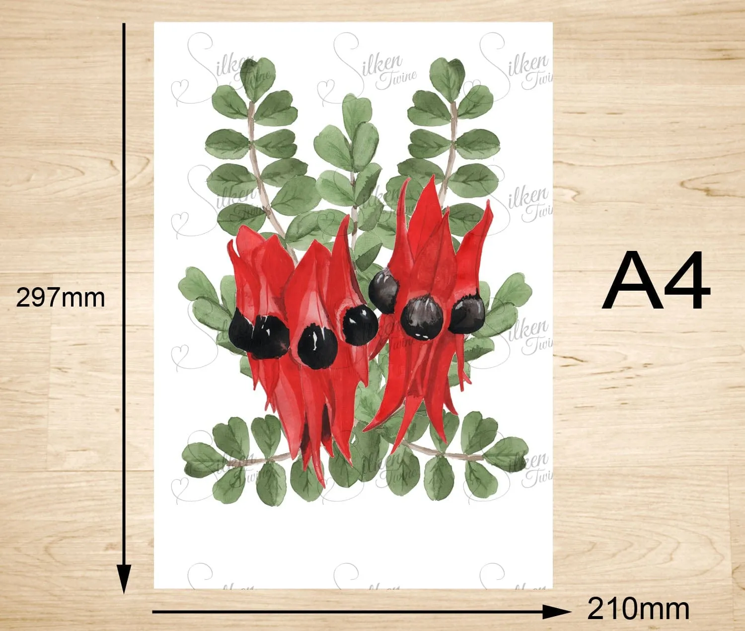 Sturts Desert Pea Art Print