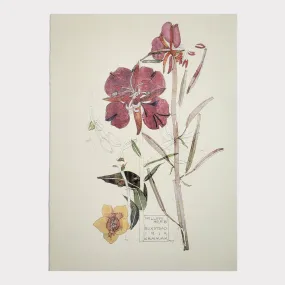 Willow Herb Card